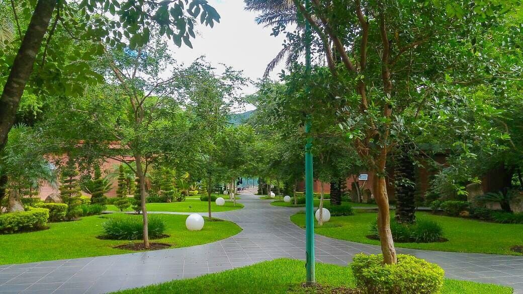 Photo of Outdoor in La Laguna