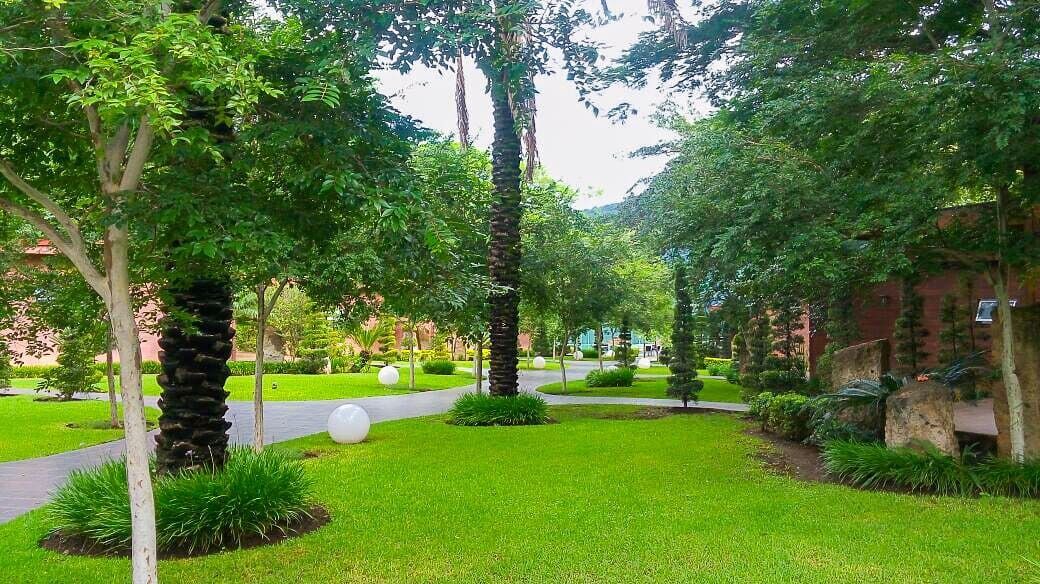 Photo of Outdoor in La Laguna