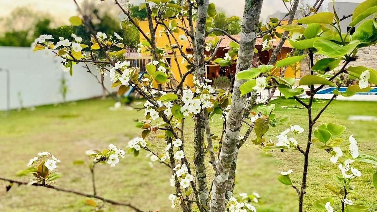 Photo of Outdoor in Montemorelos