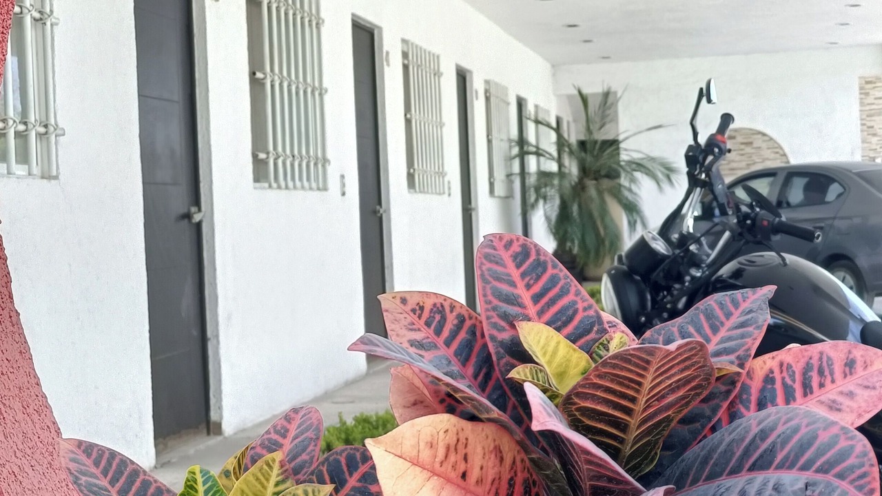 Photo of Outdoor in Matehuala