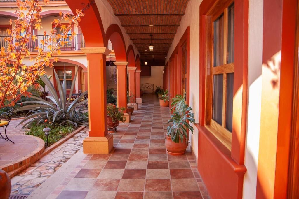Photo of Outdoor in Mascota