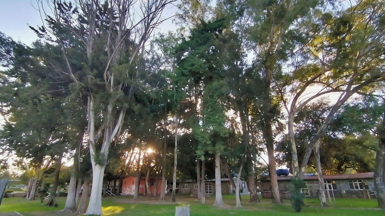 Photo of Outdoor in Papalotla