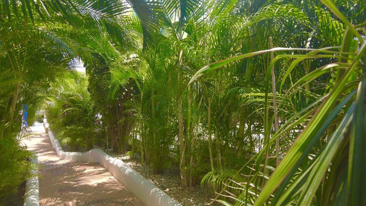 Photo of Outdoor in Hidalgo