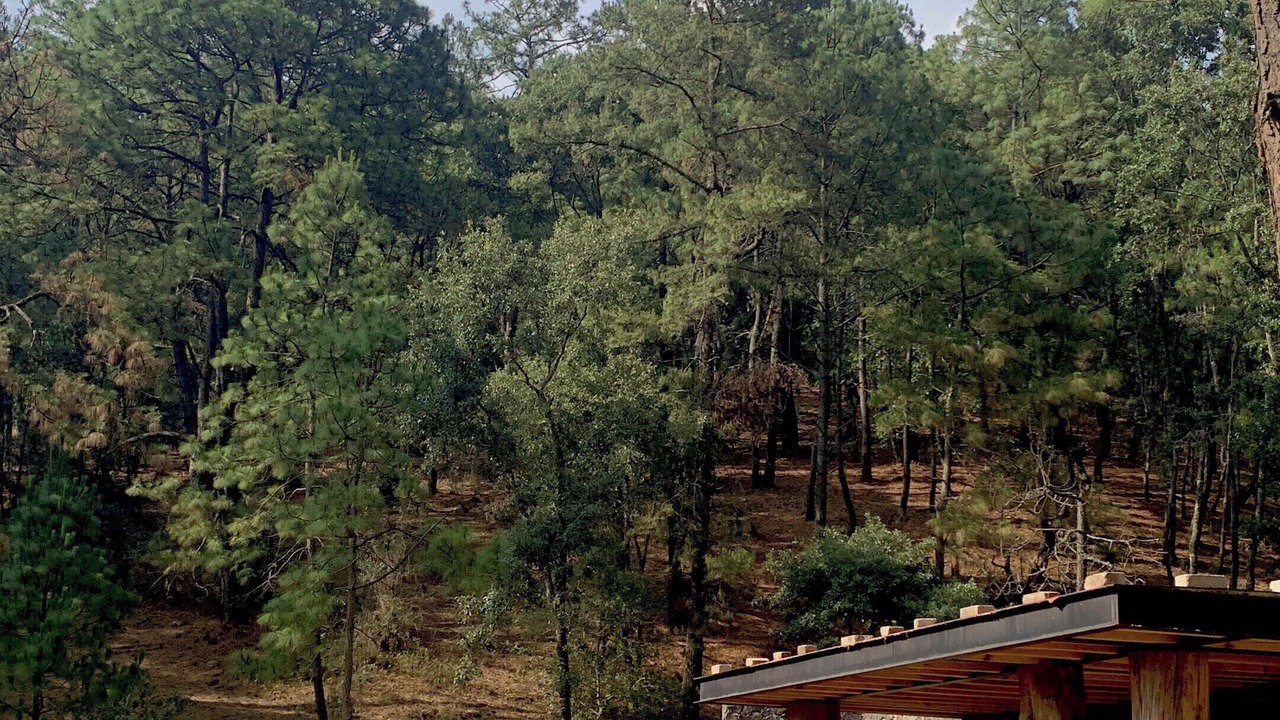 Photo of Outdoor in Mazamitla