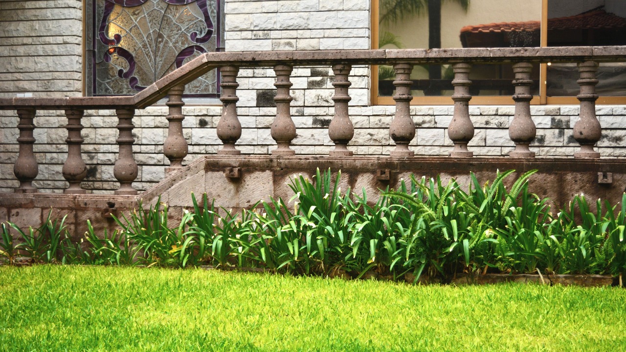 Photo of Outdoor in Zapopan