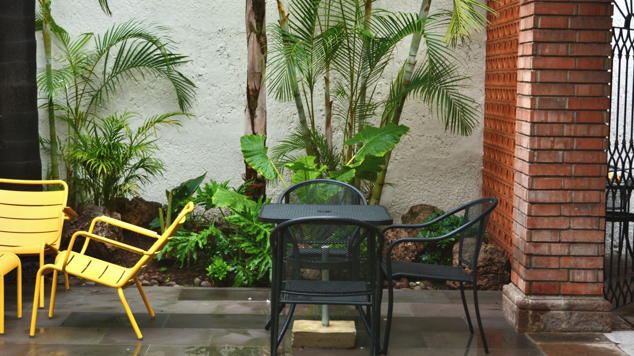 Photo of Outdoor in Zapopan