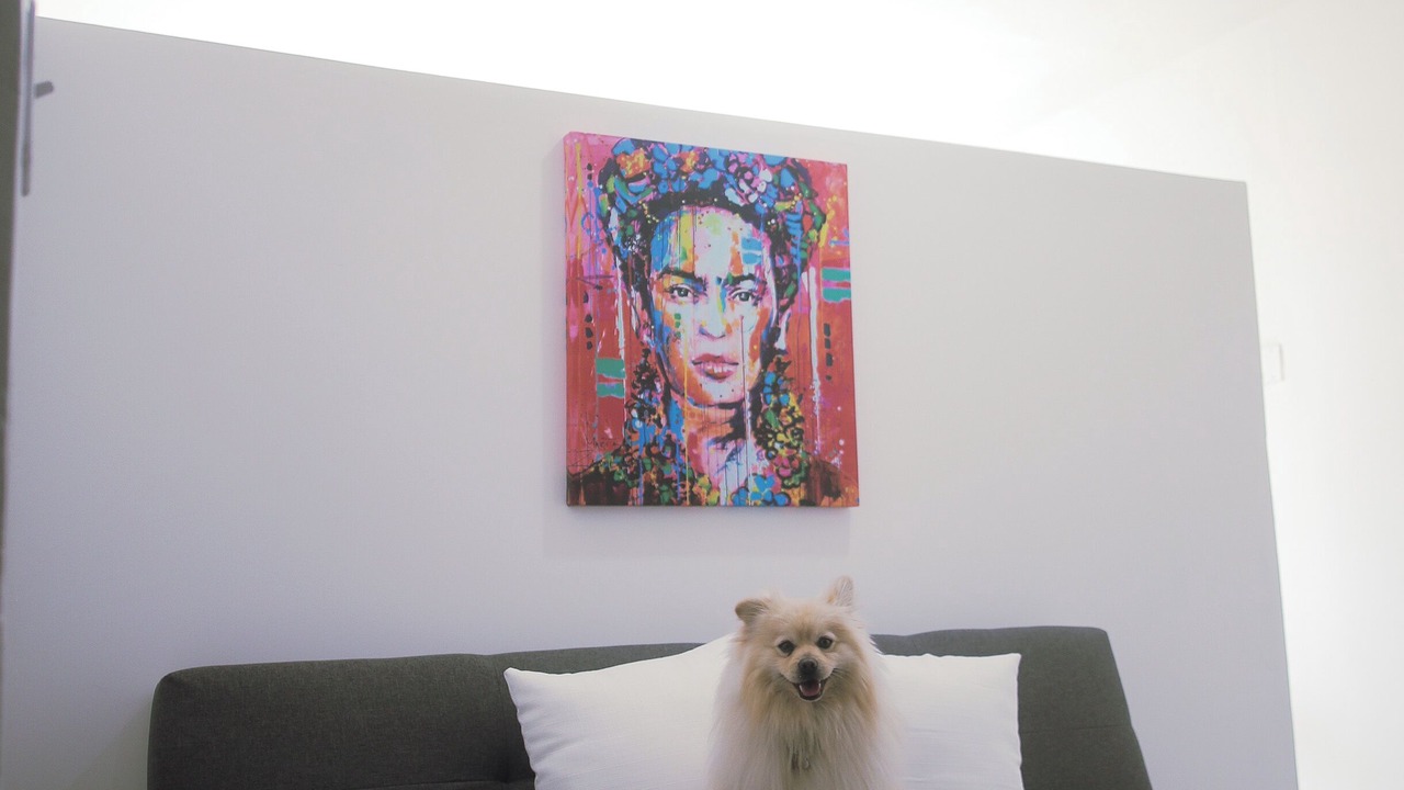 Photo of Livingroom in Zona Centro
