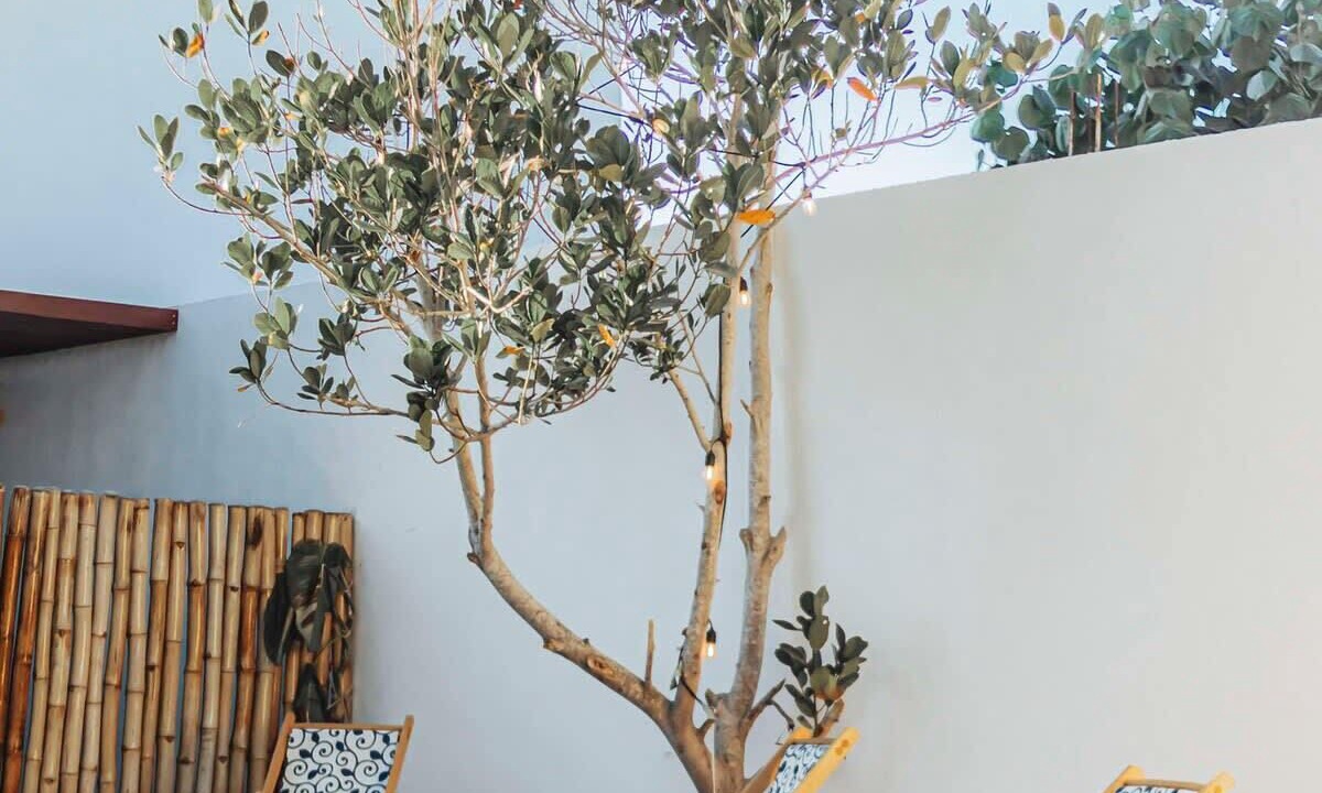 Photo of Outdoor in La Manzanilla