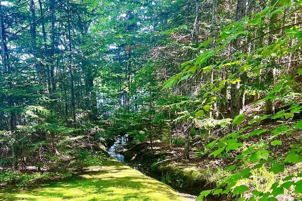 Photo of Outdoor in Rangeley