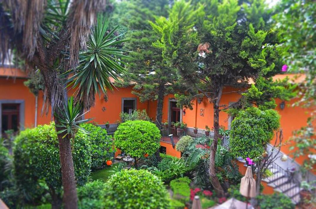 Photo of Others in San Miguel Chapultepec