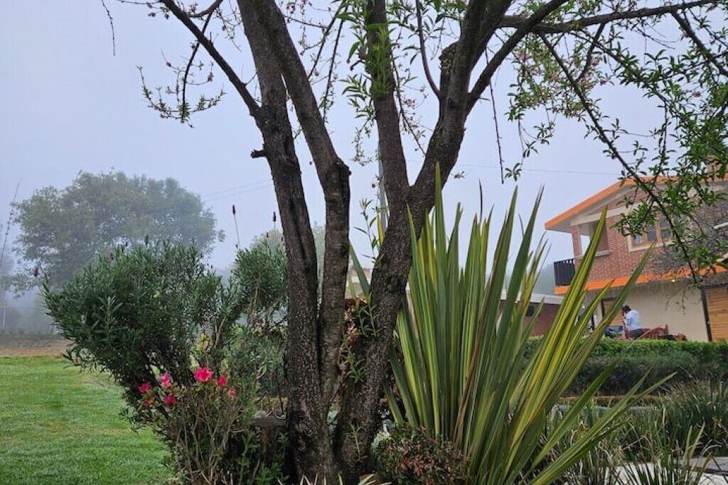 Photo of Outdoor in Zacatlan