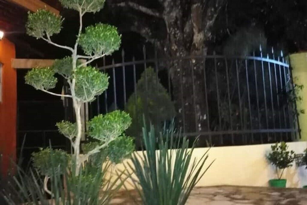 Photo of Outdoor in Zacatlan