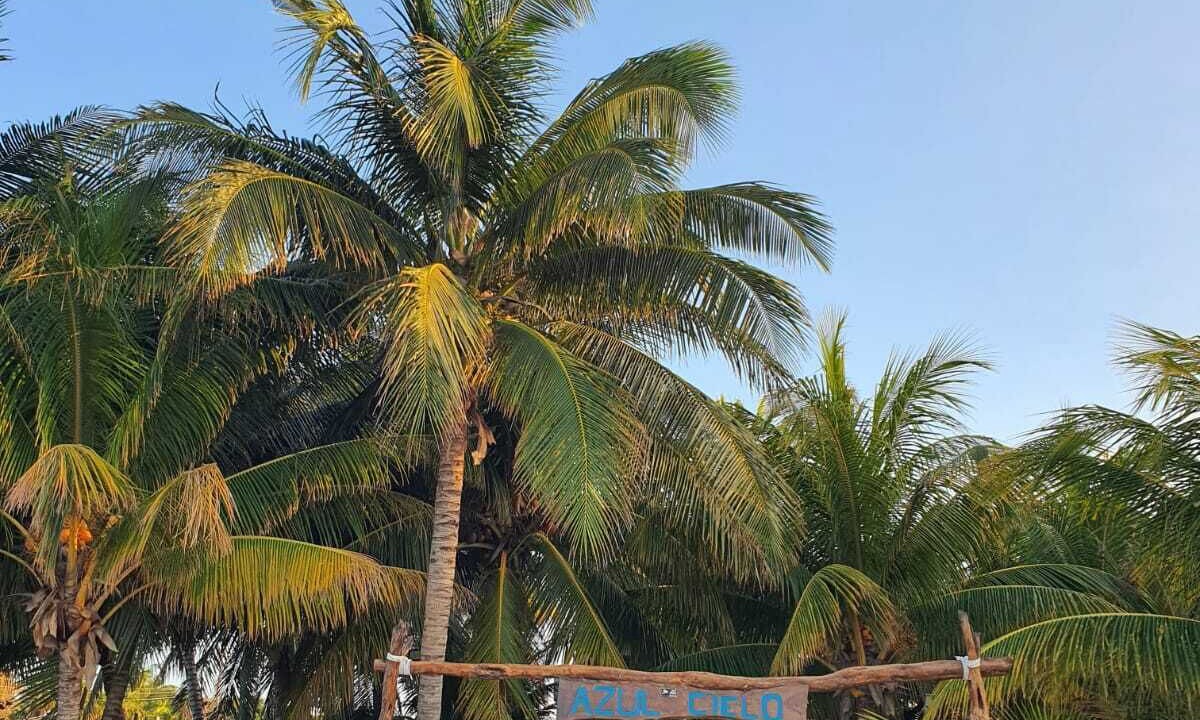 Photo of Outdoor in Yucatan Peninsula