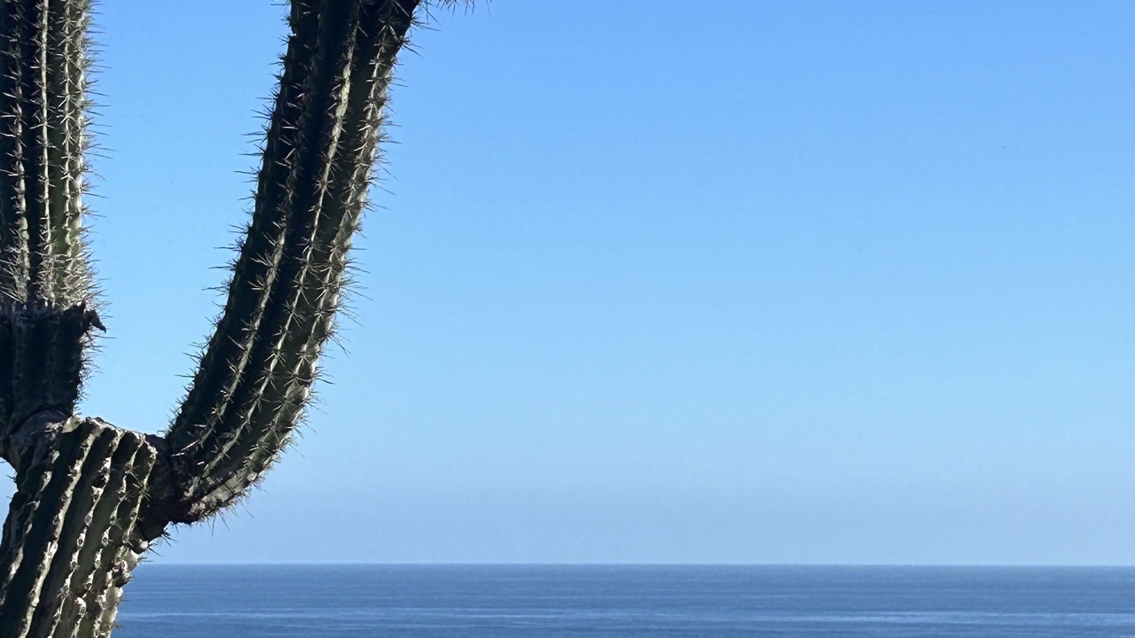 Photo of Others in Mazunte