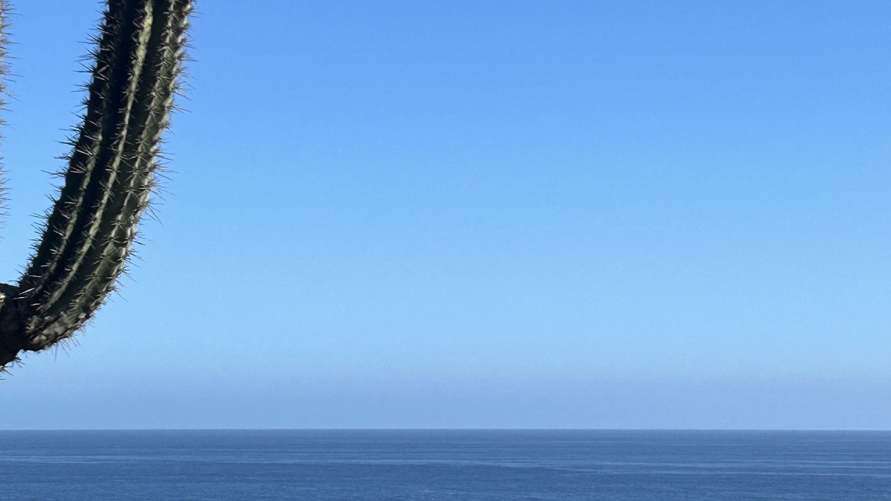 Photo of Others in Mazunte