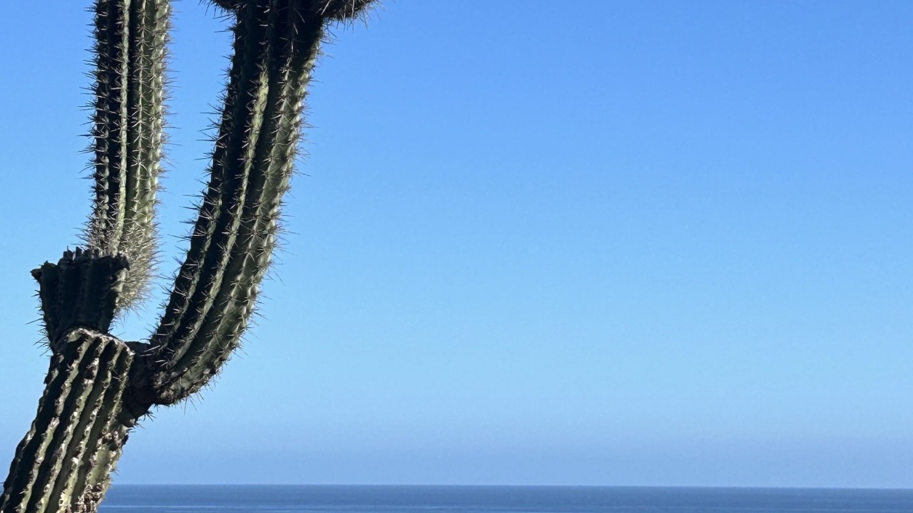 Photo of Others in Mazunte