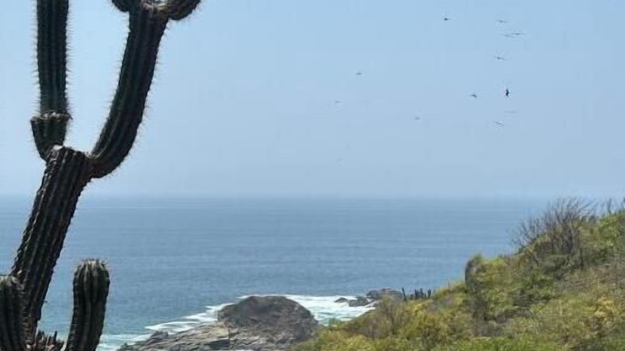 Photo of Others in Mazunte