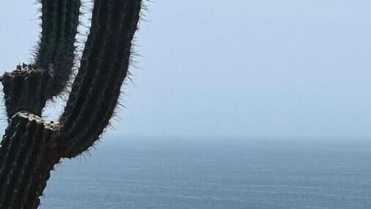Photo of Others in Mazunte