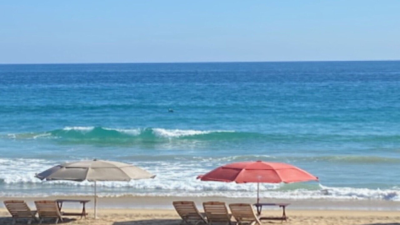 Photo of Others in Mazunte