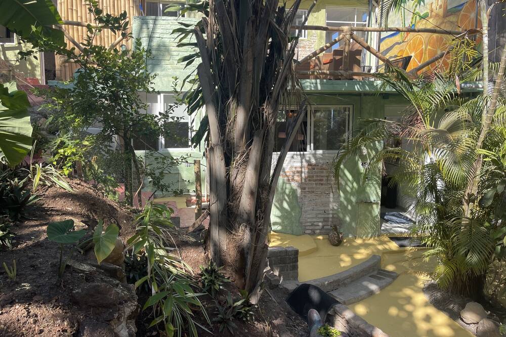 Photo of Outdoor in Emiliano Zapata