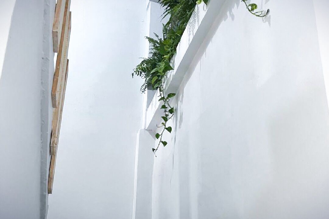 Photo of Patio Balcony in Tecolutla Municipality