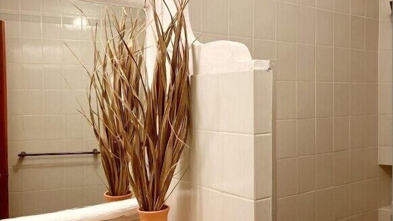 Photo of Bathroom in La Audiencia
