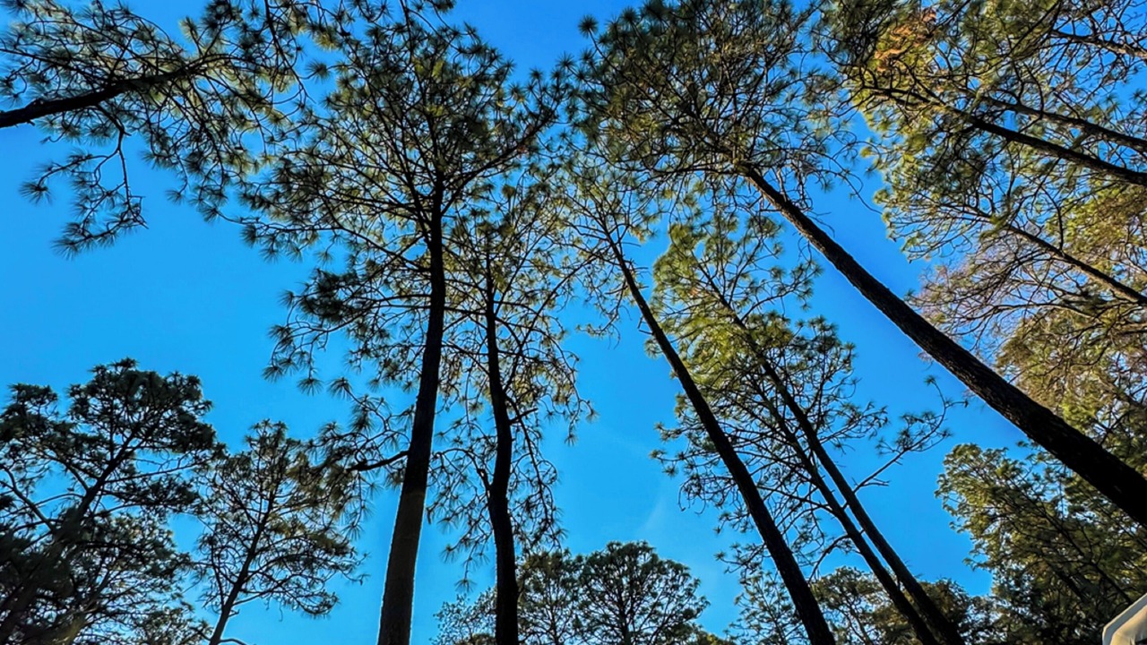 Photo of Outdoor in Tapalpa