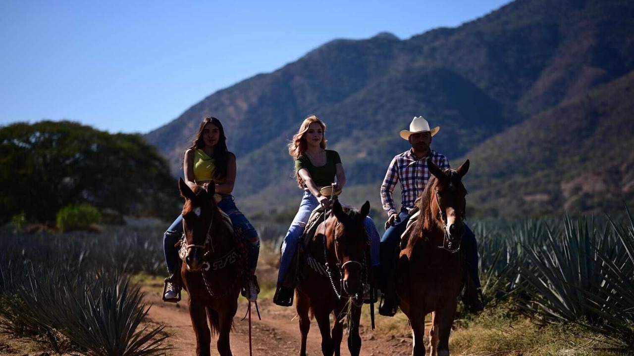 Photo of Outdoor in Tequila