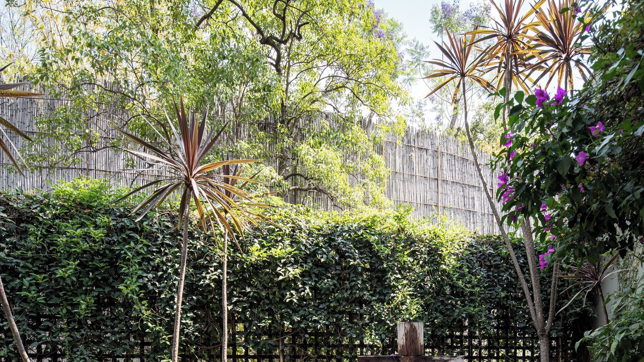 Photo of Outdoor in San Miguel de Allende