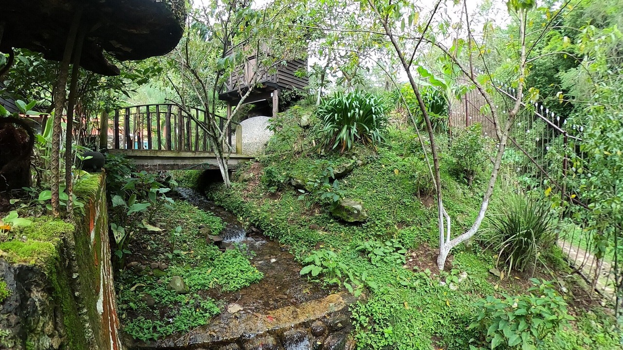 Photo of Outdoor in La Gloria