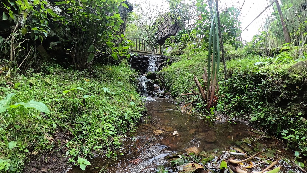 Photo of Outdoor in La Gloria
