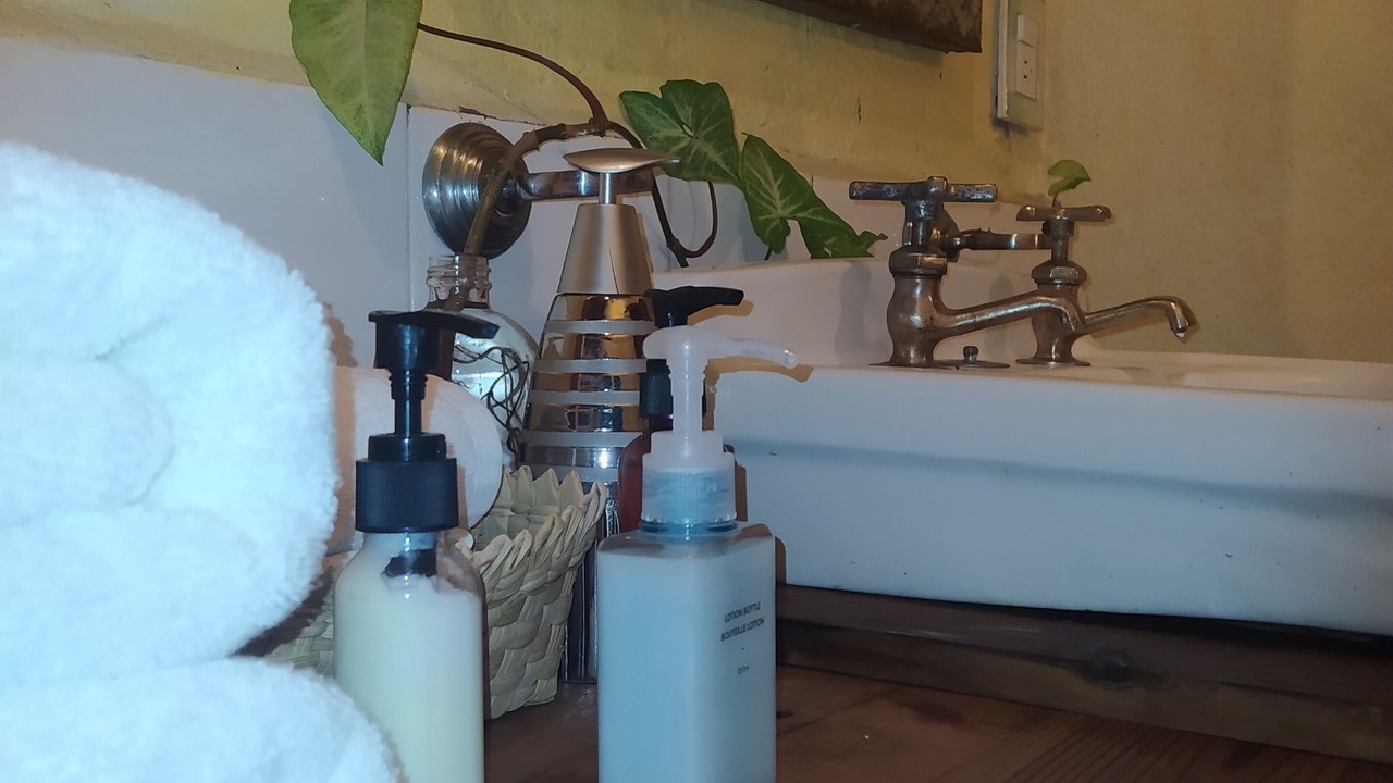 Photo of Bathroom in Patzcuaro