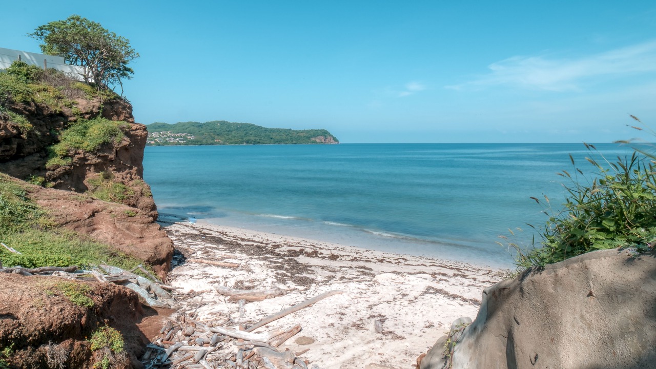 Photo of Others in Punta Negra
