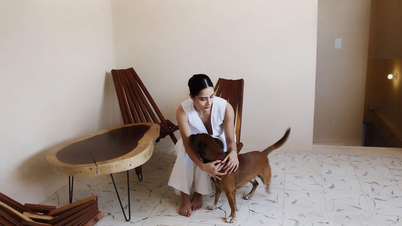 Photo of Livingroom in Zona Paseo Montejo