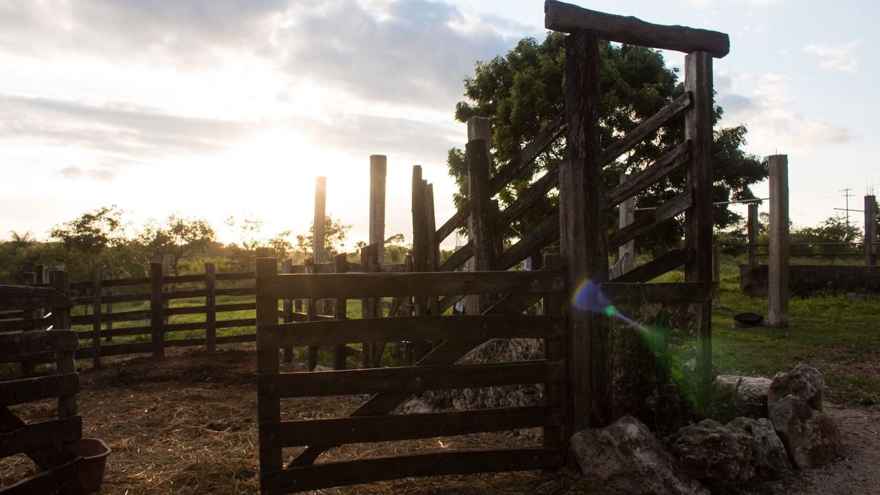 Photo of Outdoor in Yucatan Peninsula