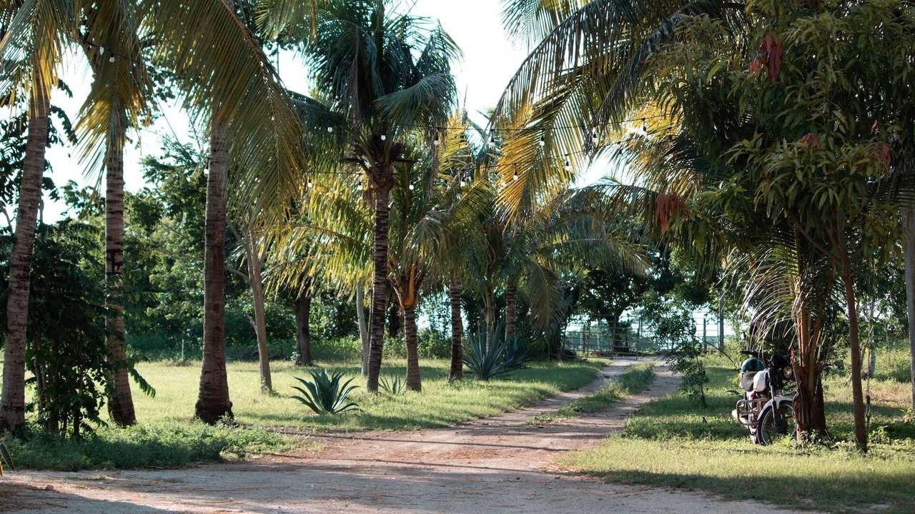 Photo of Outdoor in Yucatan Peninsula