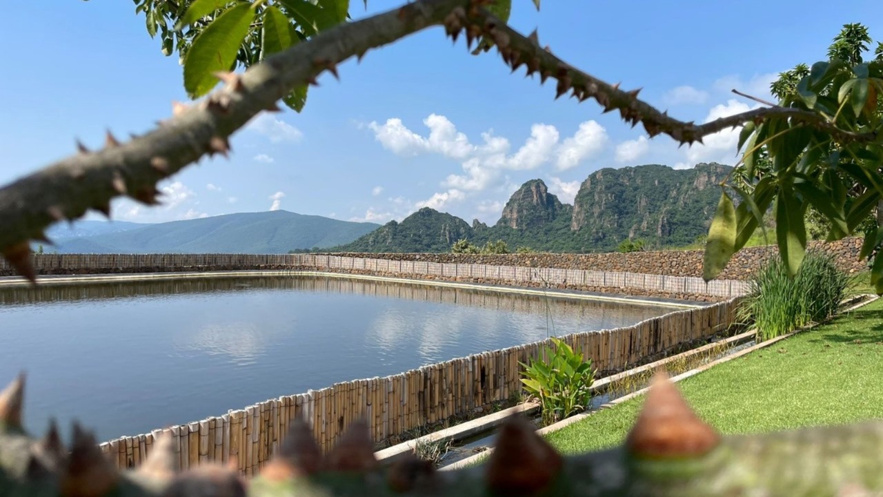 Photo of Outdoor in Tepoztlan