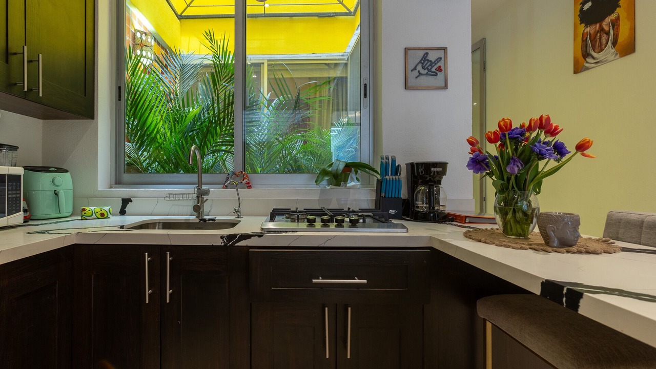 Photo of Kitchen in Lazaro Cardenas