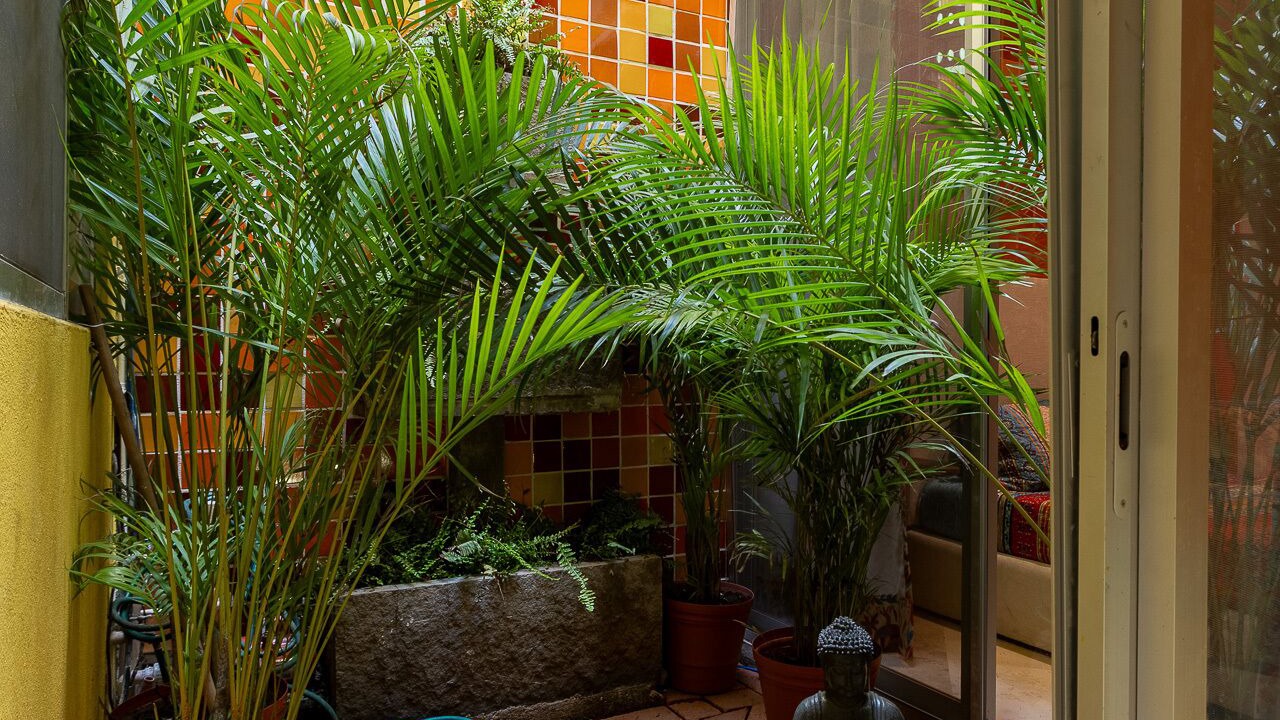Photo of Outdoor in Lazaro Cardenas