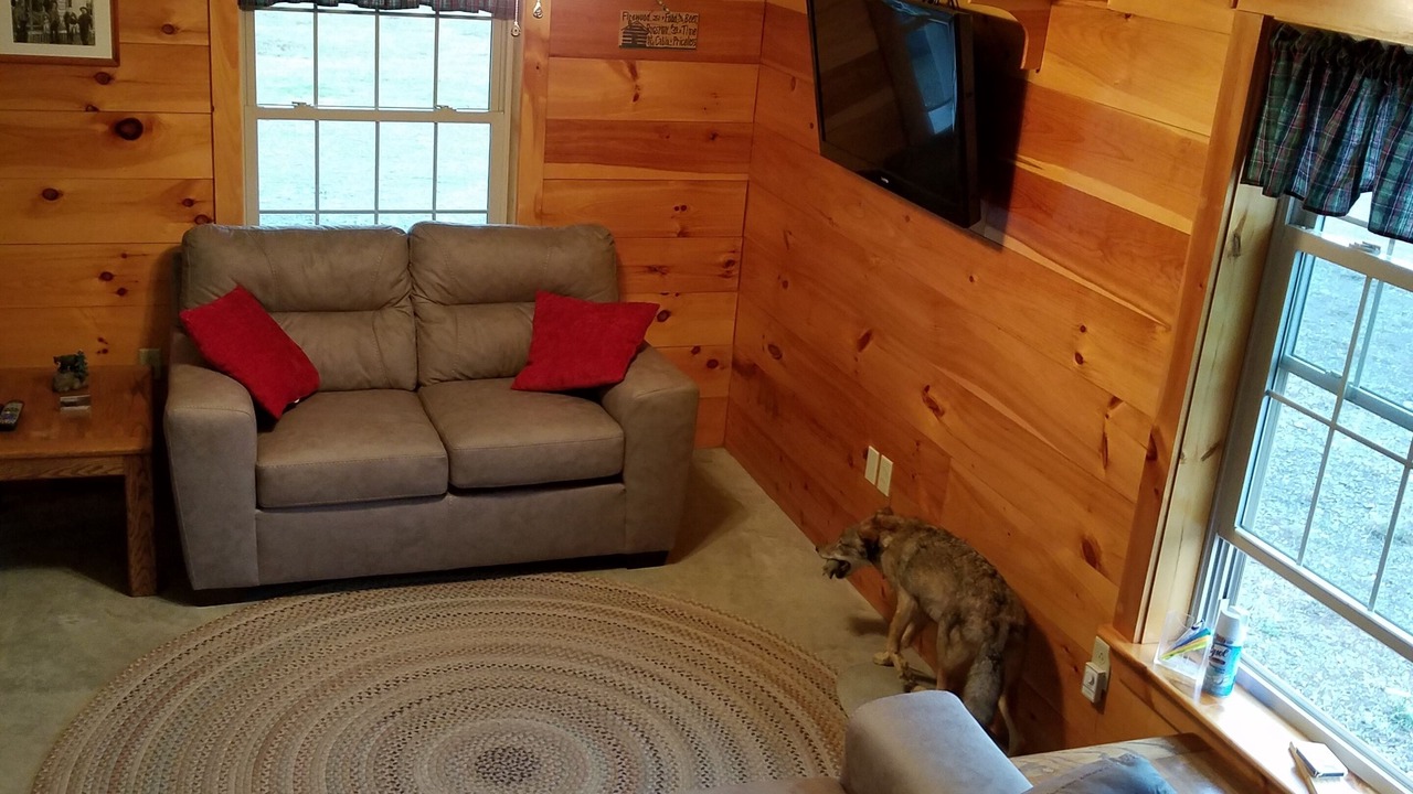 Photo of Livingroom in Aroostook