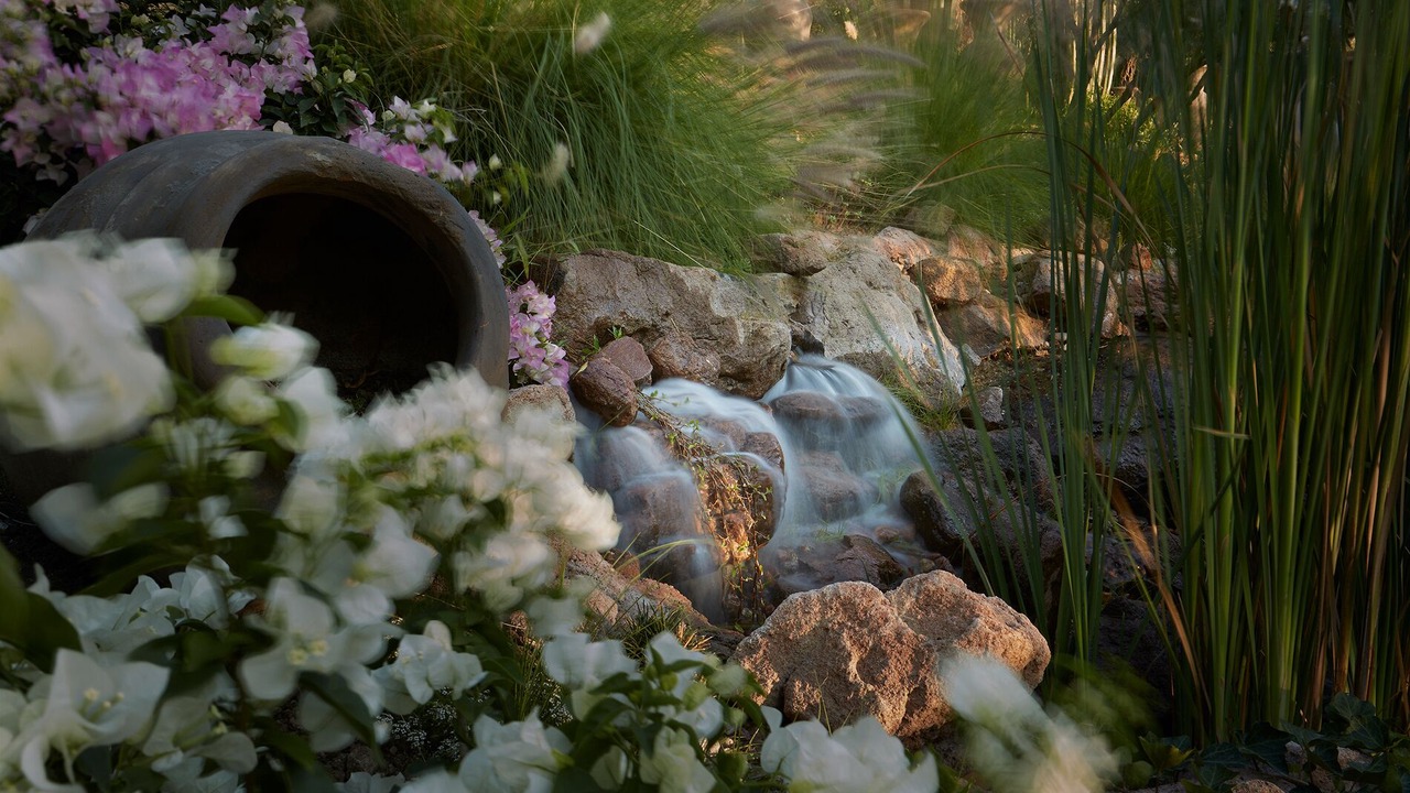 Photo of Outdoor in San Miguel de Allende