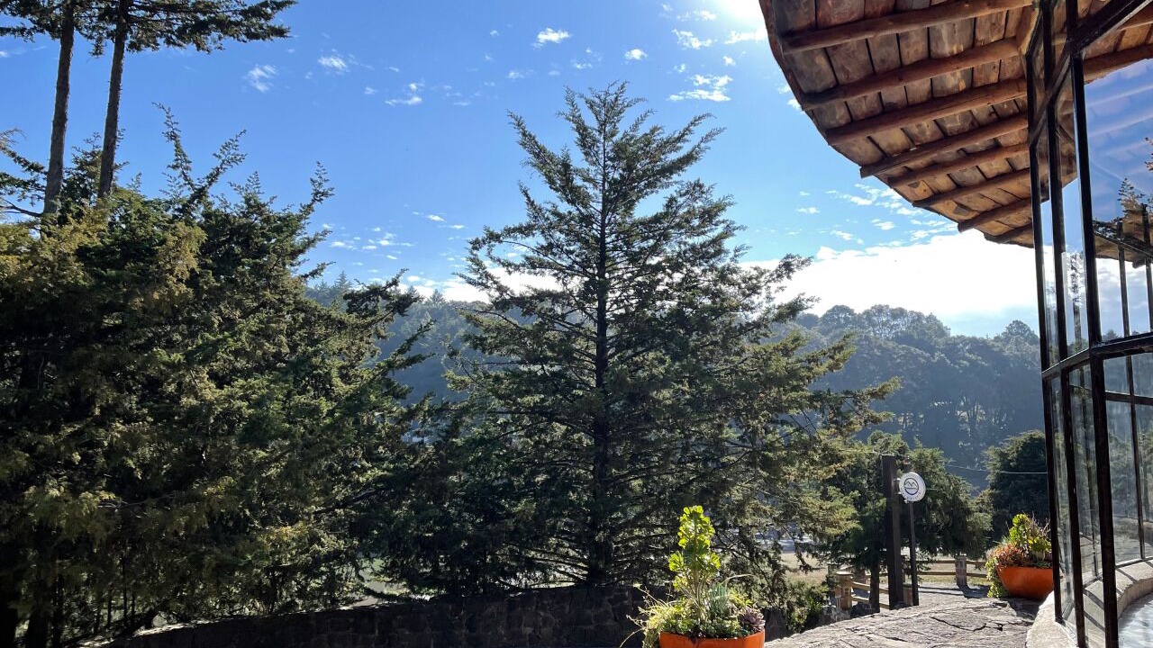 Photo of Outdoor in El Oro