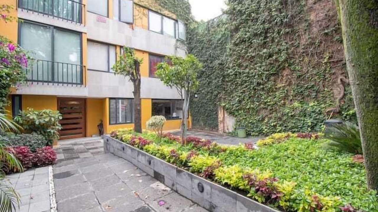 Photo of Outdoor in Coyoacan