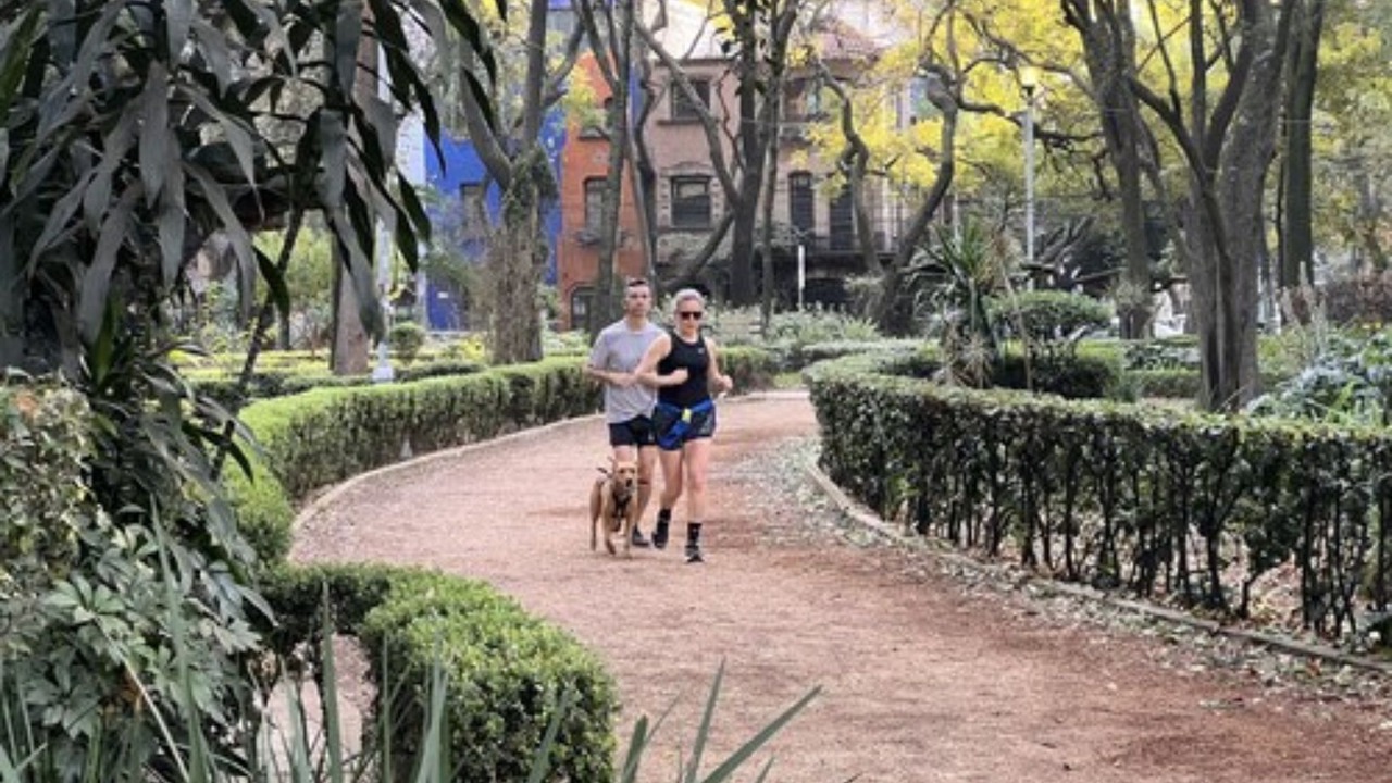 Photo of Outdoor in Hipodromo