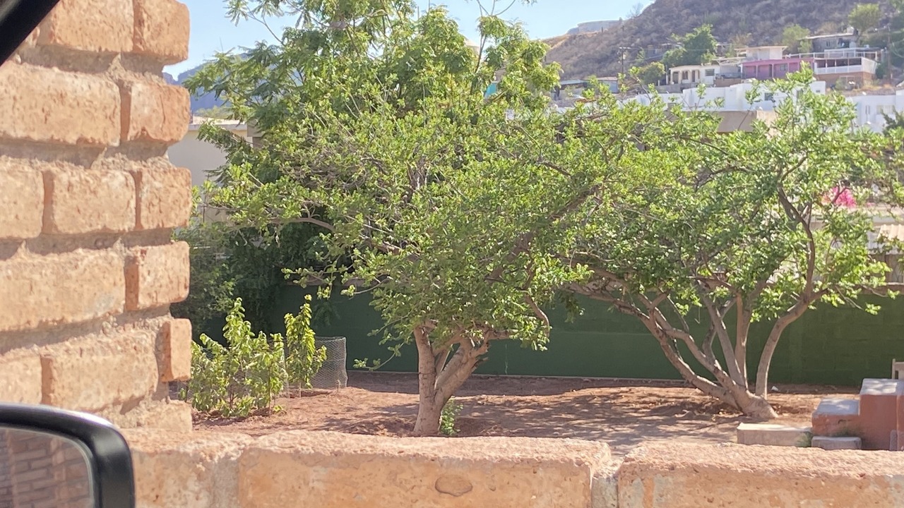 Photo of Outdoor in Guaymas