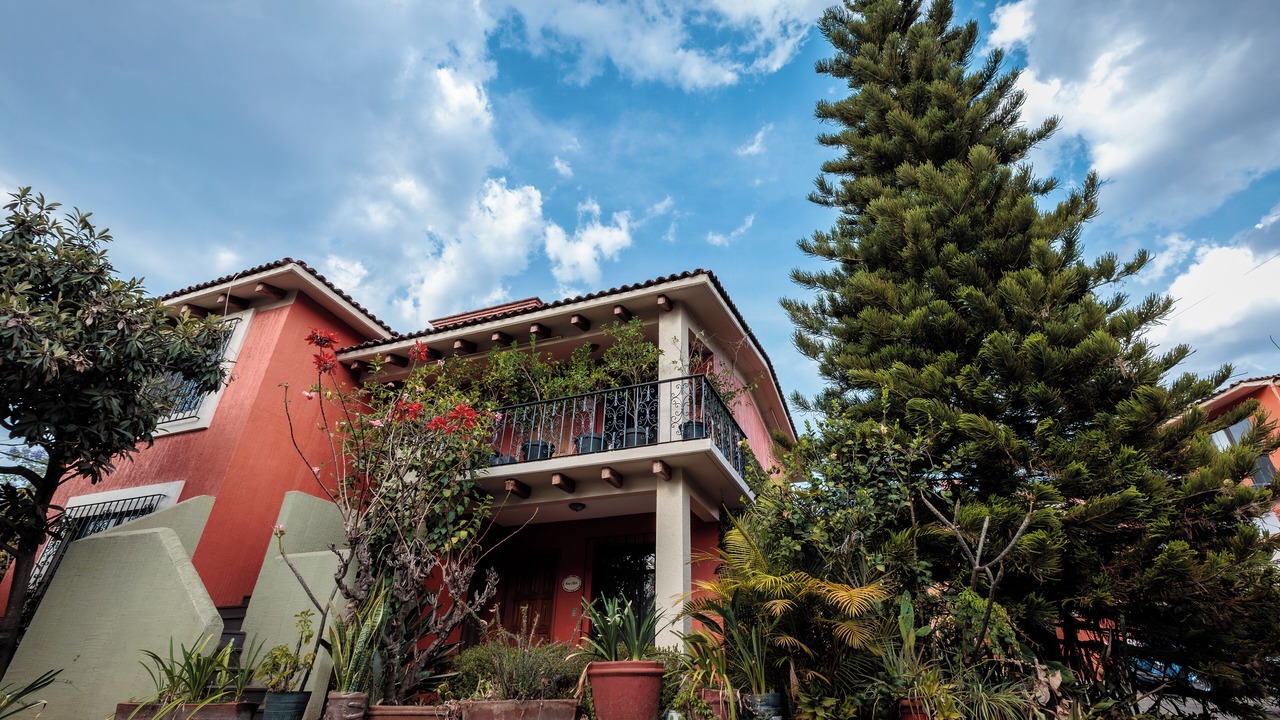 Photo of Outdoor in San Felipe del Agua