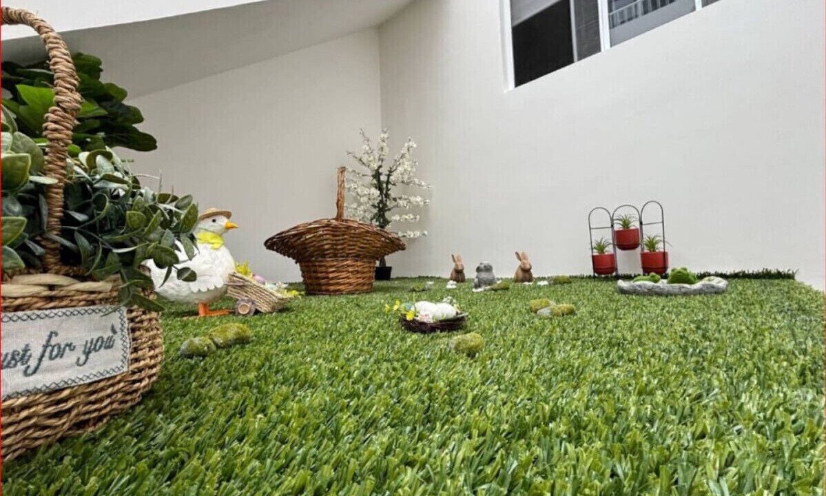 Photo of Outdoor in Xalapa