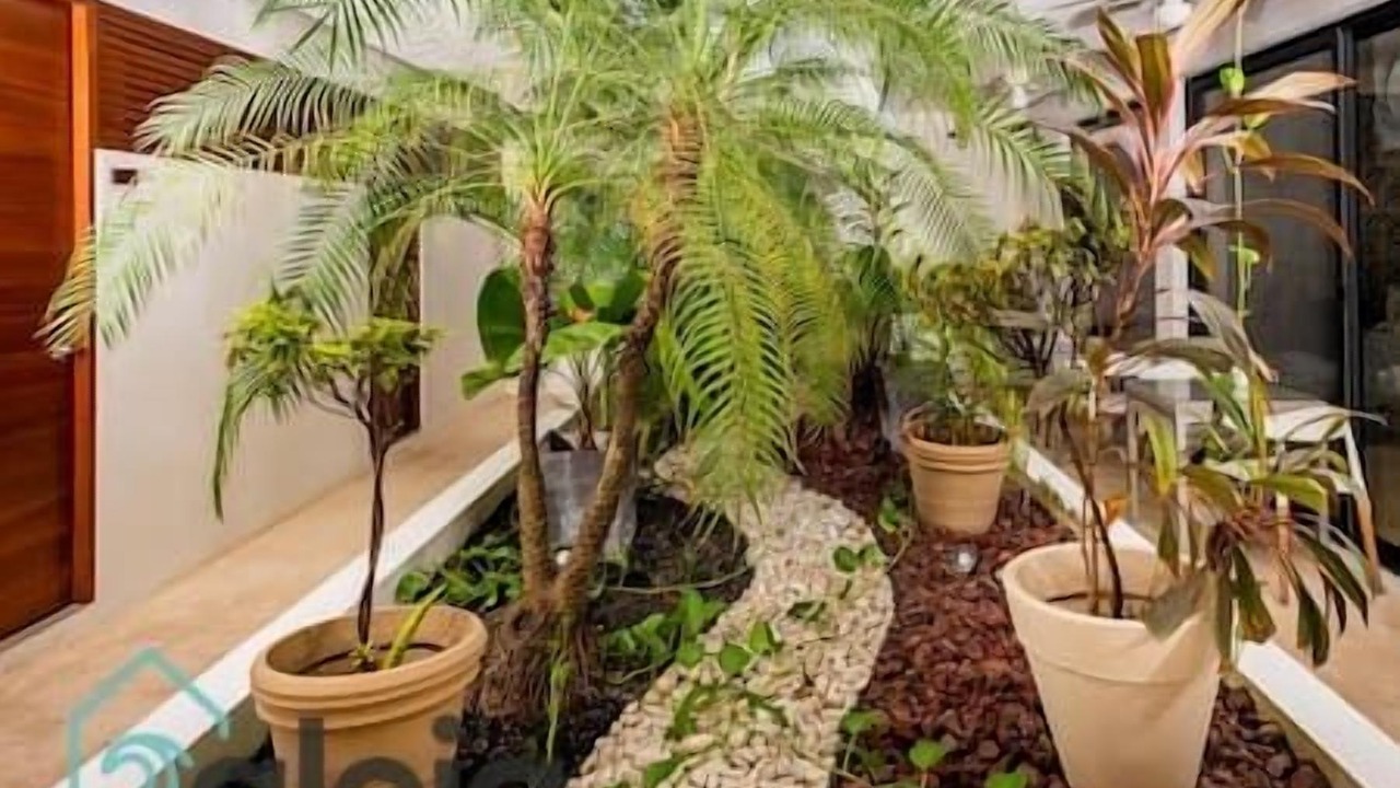 Photo of Outdoor in Tulum City Center
