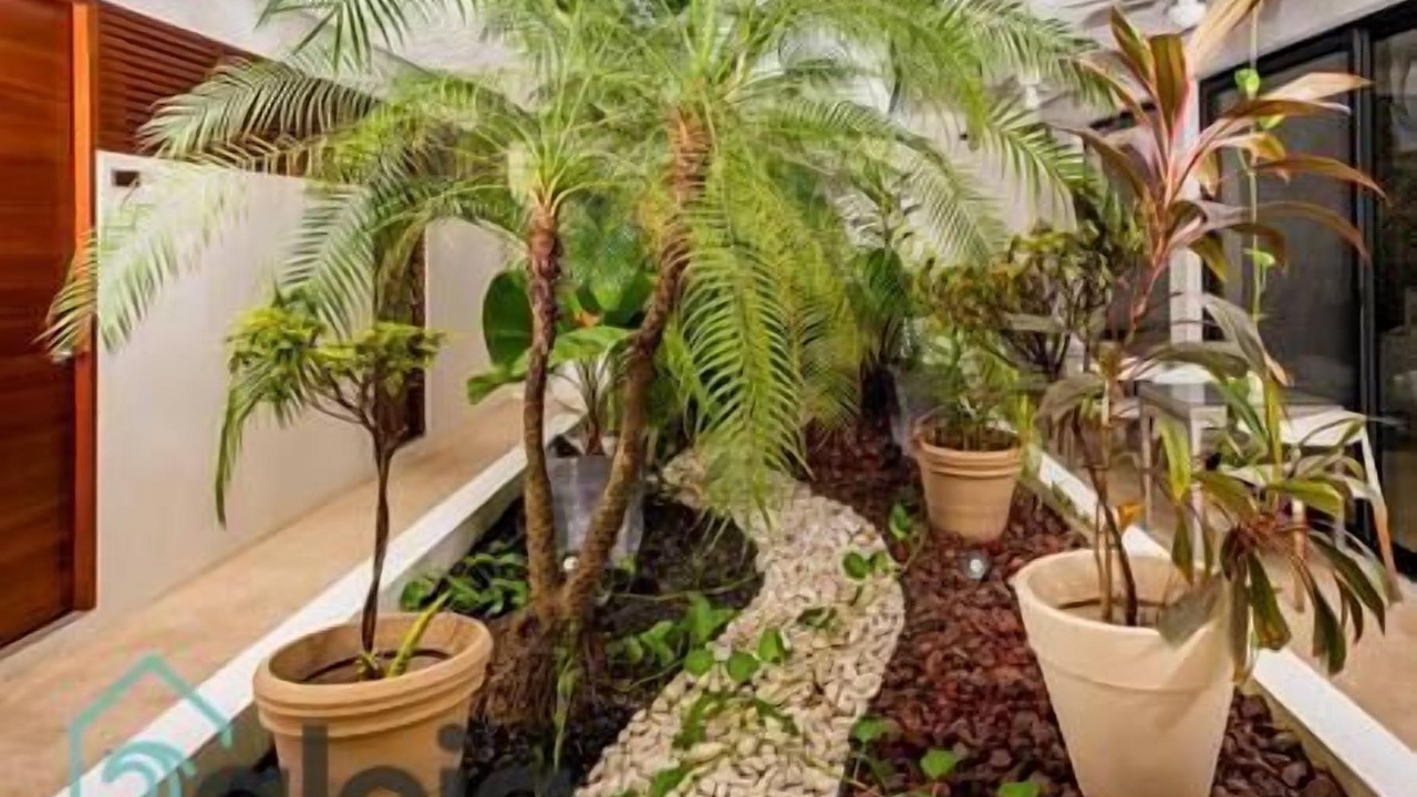 Photo of Outdoor in Tulum City Center