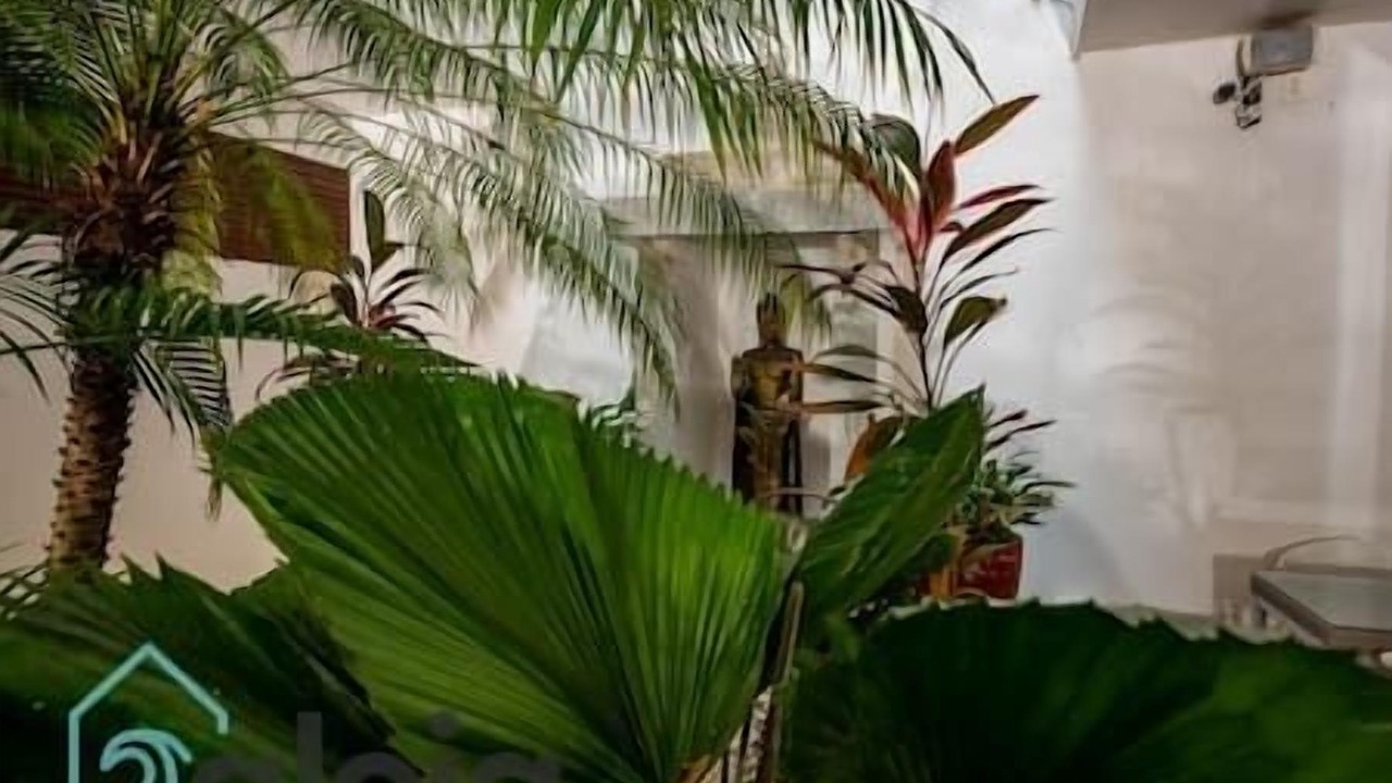Photo of Outdoor in Tulum City Center